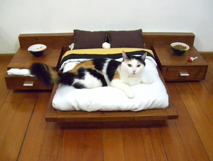 חדר שינה בורגני לחתולים