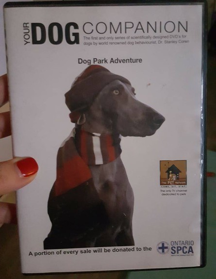 DVD לכלב