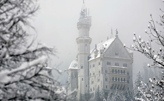 פוסן בשלג (צילום: Johannes Simon, GettyImages IL)