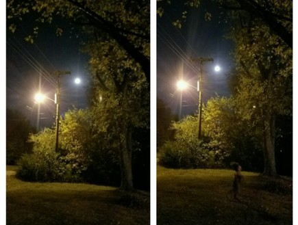שדון ירח מלא (צילום: Reddit)