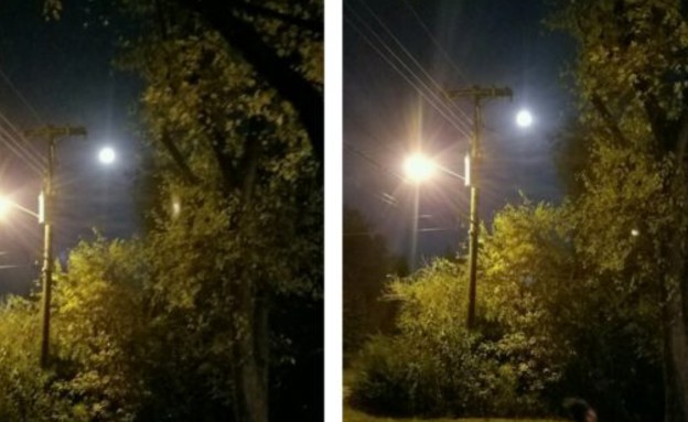 שדון ירח מלא (צילום: Reddit)