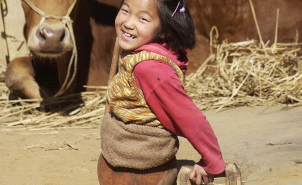 חצי גוף כדורסל (צילום: China Photos, GettyImages IL)