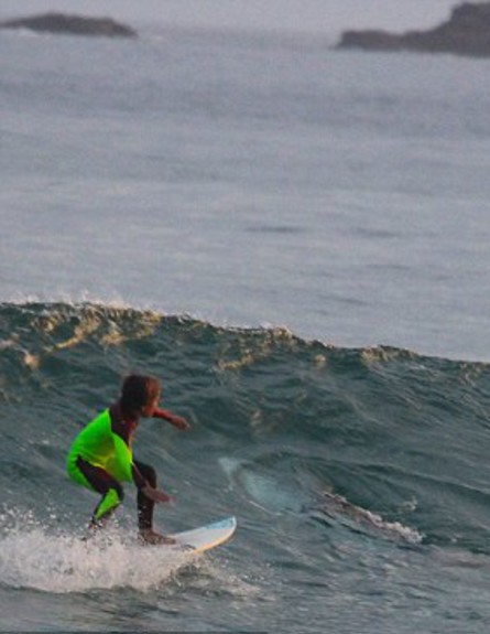 בן 10 גולש מעל כריש (צילום: כריס חסון)