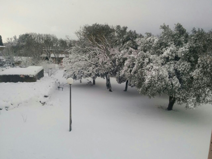 שלג בעין זיוון הבוקר (צילום: חגי דרלינגר)