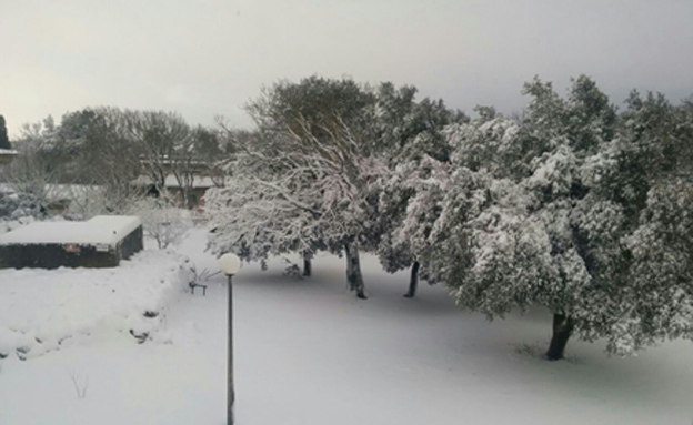 שלג בעין זיוון הבוקר (צילום: חגי דרלינגר)