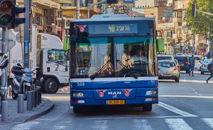 אוטובוס דן (צילום: Shutterstock)