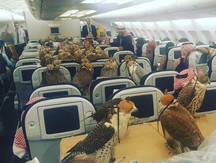 נסיך סעודי במטוס (צילום: רדיט)