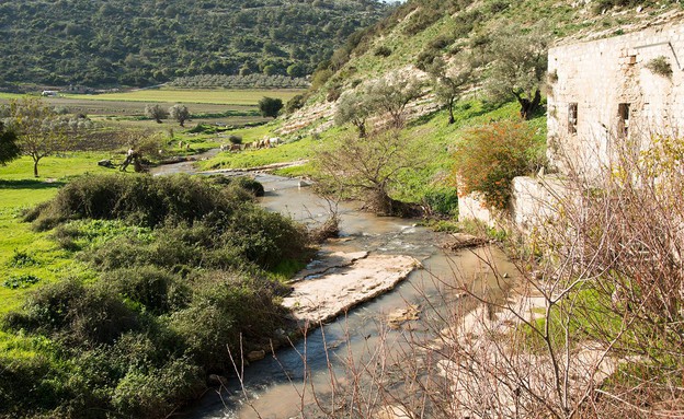 טחנת הנזירים (צילום: הדס ניצן)