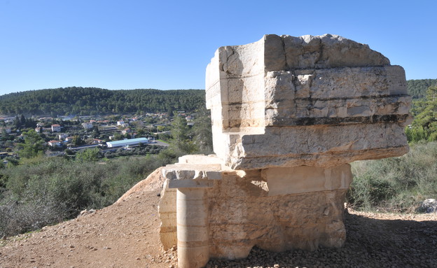 דרך הפסלים צרעה אשתאול (צילום: אבי חיון, קק"ל)