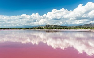 אגם מי מלח ורודים ברפובליקה הדומיניקנית (צילום: Konstantin Kopachinsky, Shutterstock)