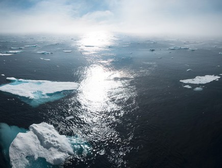 הקוטב הצפוני (צילום: נאס