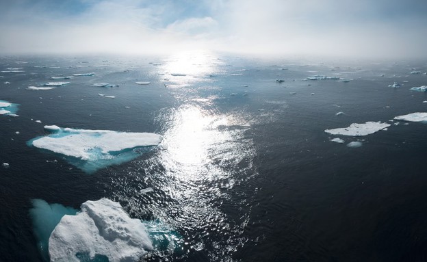 הקוטב הצפוני (צילום: נאס"א)