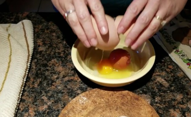 מה קרה לביצה? (צילום: Youtube; SNO Multimedia, יוטיוב)