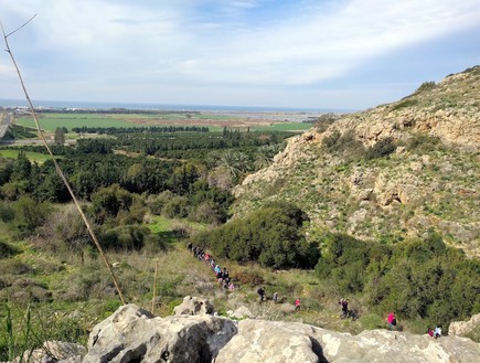 תצפית על מטעי הבננות, בריכות הדגים מעגן מיכאל והים (צילום: נגה משל)