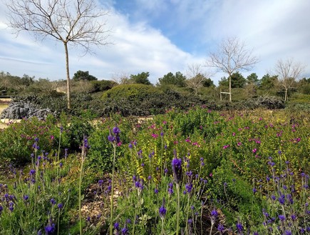 תחילת המסלול היציאה מגני הנדיב (צילום: נגה משל)