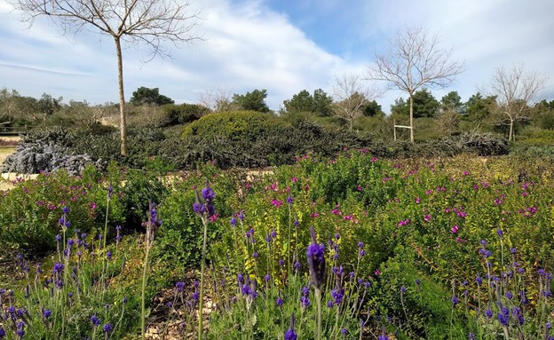 תחילת המסלול היציאה מגני הנדיב (צילום: נגה משל)