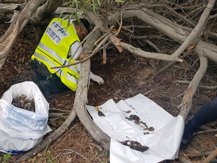 הזירה באשדוד הזירה באשדוד