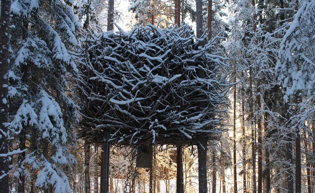 בית על העץ (צילום: treehotel.se)