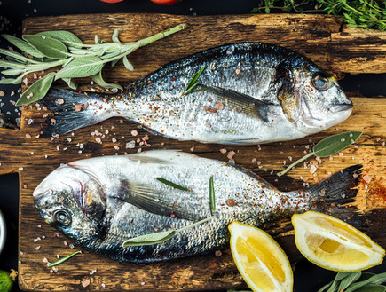 דגים (צילום: Shutterstock)