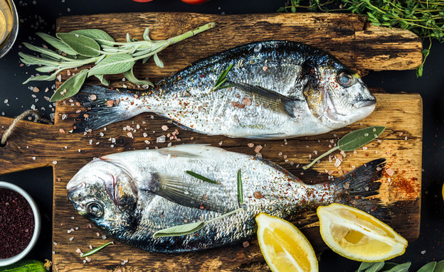 דגים (צילום: Shutterstock)