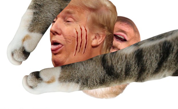 אתר שבו שורטים את הנשיא טראמפ בטלפי חתול