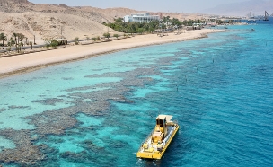 חוף האלמוגים באילת (צילום: vblinov, Shutterstock)