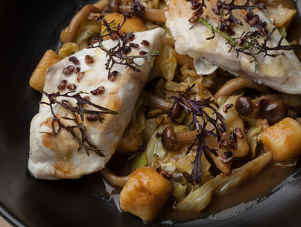 פילה בר ים, פופינה פילה בר ים, פופינה