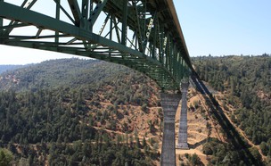 גשר פורסט היל בקליפורניה (צילום: Nick Ares, Flickr)