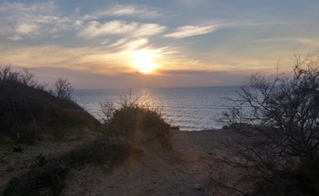 חוף השרון (צילום: רחל פישמן)