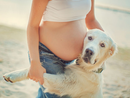הריון (צילום: Shutterstock)