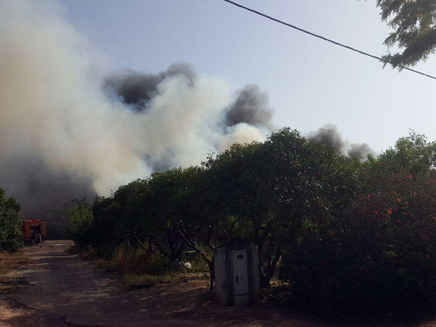 השריפה בשדה ורבורג (היום) (צילום: רפי קינג)