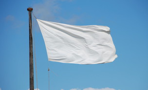 דגל לבן  (צילום: KarenMassier, GettyImages IL)