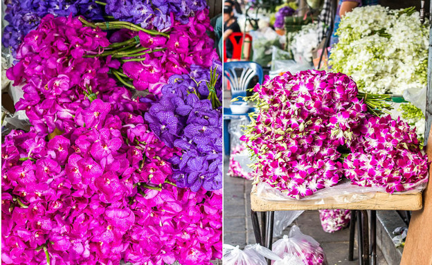 שוק הפרחים (צילום: תמר גולן, Hedonistit)