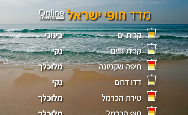 החופים הנקיים באזור המפרץ (צילום: 123FR)