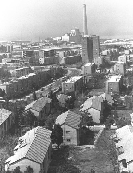רמת אביב הירוקה ב-1972 (צילום: משה מילנר, לע"מ)
