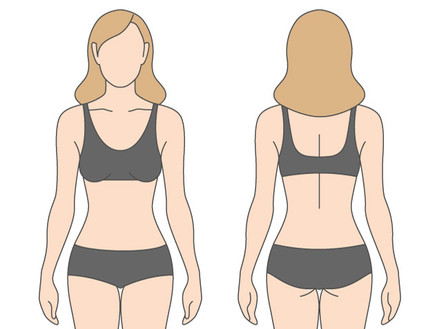 איור גוף אישה  (איור: Reinekke, Shutterstock)