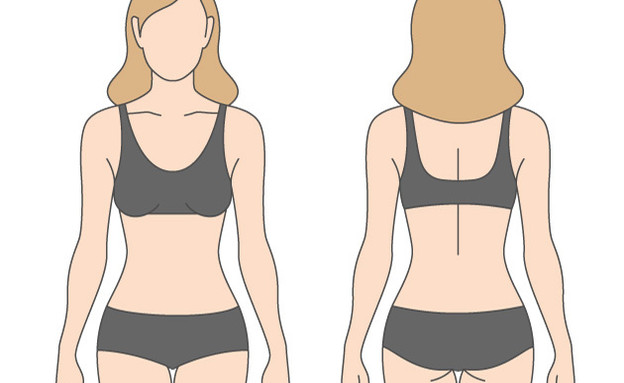 איור גוף אישה  (איור: Reinekke, Shutterstock)