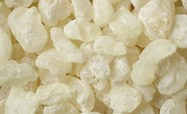 כיוס-מסטיקה