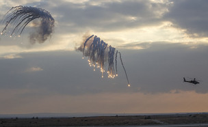 נפלים של נורי  (צילום: ויקיפדיה)