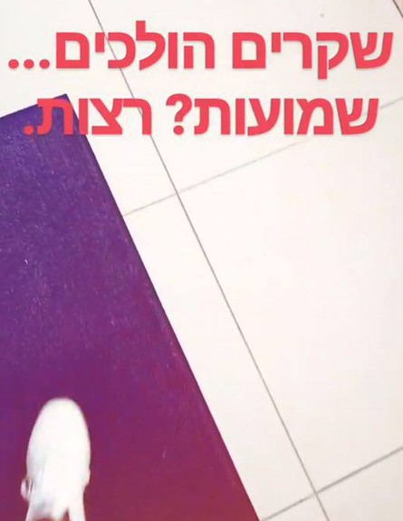 סטטיק סטורי, 15.5 (צילום:  adomeitfilm, instagram)