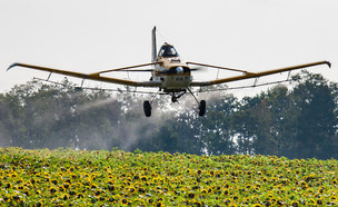 הדברה חקלאית (צילום: Steve Boyko, Shutterstock)