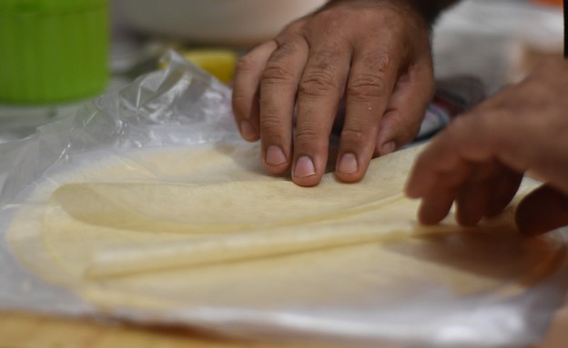 בריק דגים. קיפול הבריק