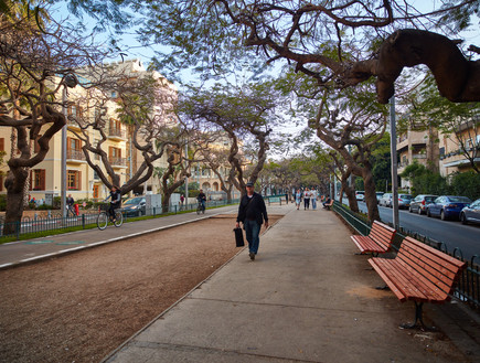 שדרות רוטשילד בתל אביב (אילוסטרציה: rasika108, Shutterstock)