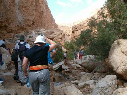 אתר עין בוקק הפך לזירת תקיפה (צילום: י.ש, GFDL)