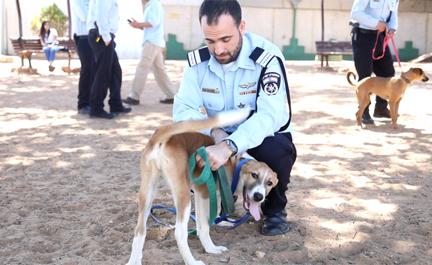 "מי שמתעלל בבע"ח יתעלל גם בבני אדם" (צילום: אגודת צער בעלי חיים)