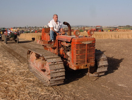 פסטיבל חלב ודבש (צילום: ישראל פרץ,  יחסי ציבור )