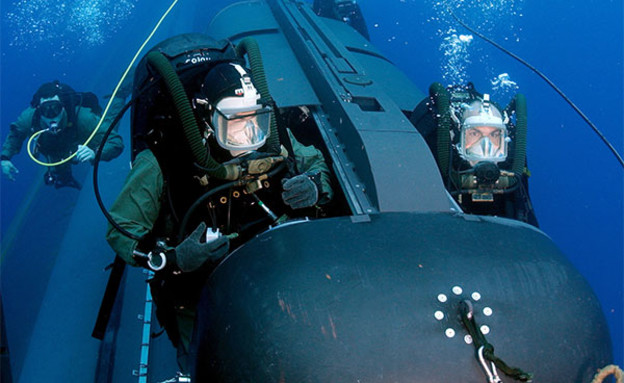צוות 1 של "אריות הים" (צילום: הצי האמריקאי)