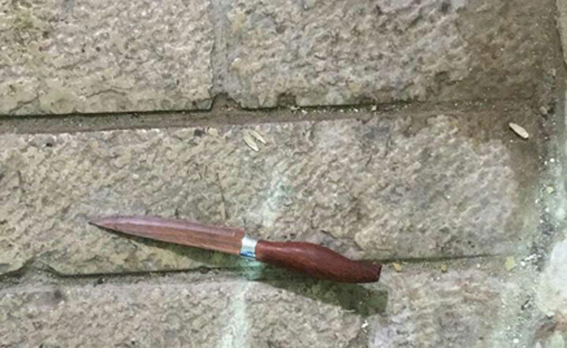 הסכין שהחזיקה החשודה (צילום: דוברות המשטרה)