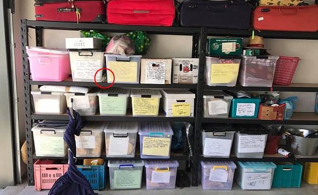 נחש במוסך נחש במוסך