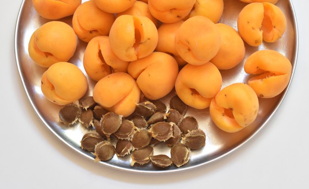 משמשים וגוגואים